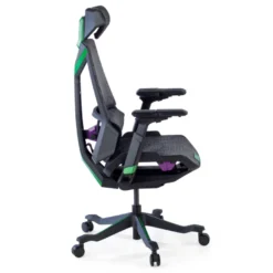Sedia da Gaming Ergonomica BloodDragon
