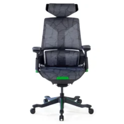 Sedia da Gaming Ergonomica BloodDragon