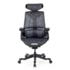 Sedia da Gaming Ergonomica BloodDragon