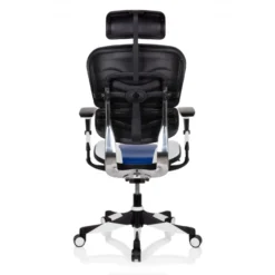 Sedia da Gaming Professionale Ergohuman, 100% regolabile