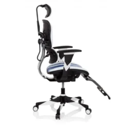 Sedia da Gaming Professionale Ergohuman, 100% regolabile