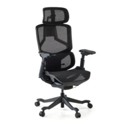 Sedia da ufficio ergonomica AeroMax con doppio supporto lombare