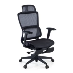 Sedia da ufficio ergonomica con poggiapiedi Balance Pro, Braccioli 3D