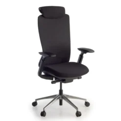 Sedia da ufficio ergonomica Gemini, braccioli 4D e supporto lombare