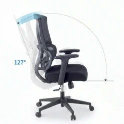 Sedia da Ufficio Ergonomica Orbit con Supporto Lombare, Seduta Imbottita