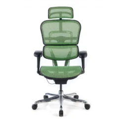 Sedia direzionale ergonomica Ergohuman Edition I, Struttura nera