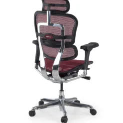 Sedia direzionale ergonomica Ergohuman Elite, Struttura nera