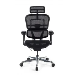 Sedia direzionale ergonomica Ergohuman Edition I, Struttura nera
