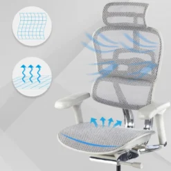 Sedia direzionale ergonomica Ergohuman Elite, Struttura bianca