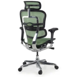 Sedia direzionale ergonomica Ergohuman Elite, Struttura nera