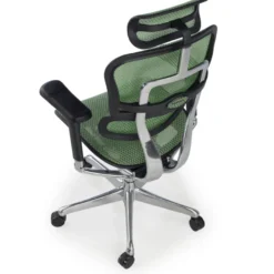 Sedia direzionale ergonomica Ergohuman Elite, Struttura nera