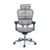 Sedia direzionale ergonomica Ergohuman Edition I, Struttura nera