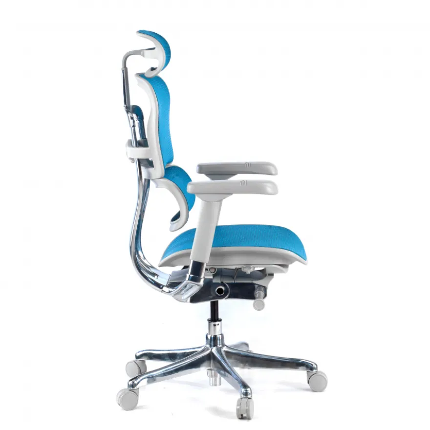 Sedia direzionale ergonomica Ergohuman Elite, Struttura bianca