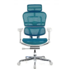 Sedia direzionale ergonomica Ergohuman Elite, Struttura bianca