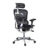 Sedia direzionale ergonomica Ergohuman Elite, Struttura nera