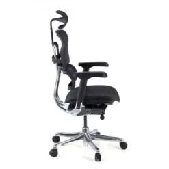 Sedia direzionale ergonomica Ergohuman Elite, Struttura nera