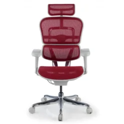 Sedia direzionale ergonomica Ergohuman Edition I, Struttura bianca