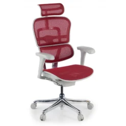 Sedia direzionale ergonomica Ergohuman Edition I, Struttura bianca