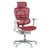Sedia direzionale ergonomica Ergohuman Elite, Struttura bianca