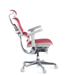 Sedia direzionale ergonomica Ergohuman Elite, Struttura bianca