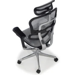 Sedia direzionale ergonomica Ergohuman Elite, Struttura nera