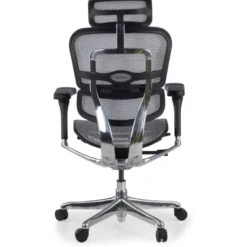 Sedia direzionale ergonomica Ergohuman Elite, Struttura nera