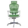 Sedia direzionale ergonomica Ergohuman Elite, Struttura bianca