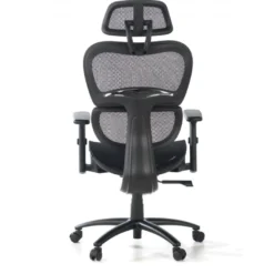 Sedia Ergonomica Ergocity, cuscino lombare, braccioli 3D