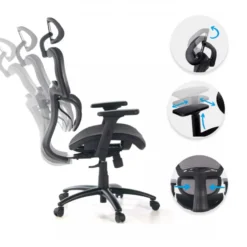 Sedia Ergonomica Ergocity, cuscino lombare, braccioli 3D