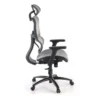 Sedia Ergonomica Ergocity, cuscino lombare, braccioli 3D