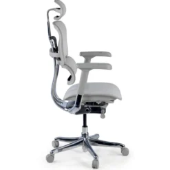 Sedia Ergonomica Ergohuman Elite, pelle naturale