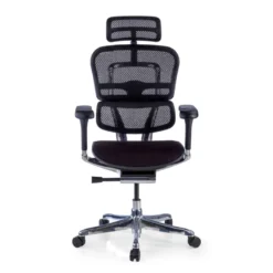Sedia Ergonomica Ergohuman Elite, seduta imbottita, struttura nera