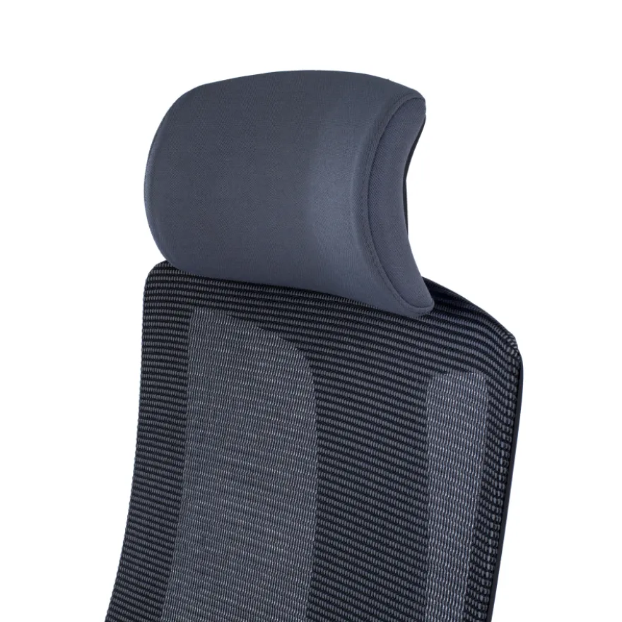 Sedia Ufficio Ergonomica Team2, Professionale, uso intensivo